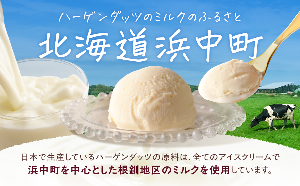 ハーゲンダッツ『ミニカップ12個セット(ストロベリー味)』アイスクリーム アイス スイーツ デザート_H0016-117