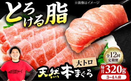 【全12回定期便】たね熟天然本まぐろ大トロ(320g)[AOCE024]まぐろ まぐろ まぐろ まぐろ まぐろ まぐろ