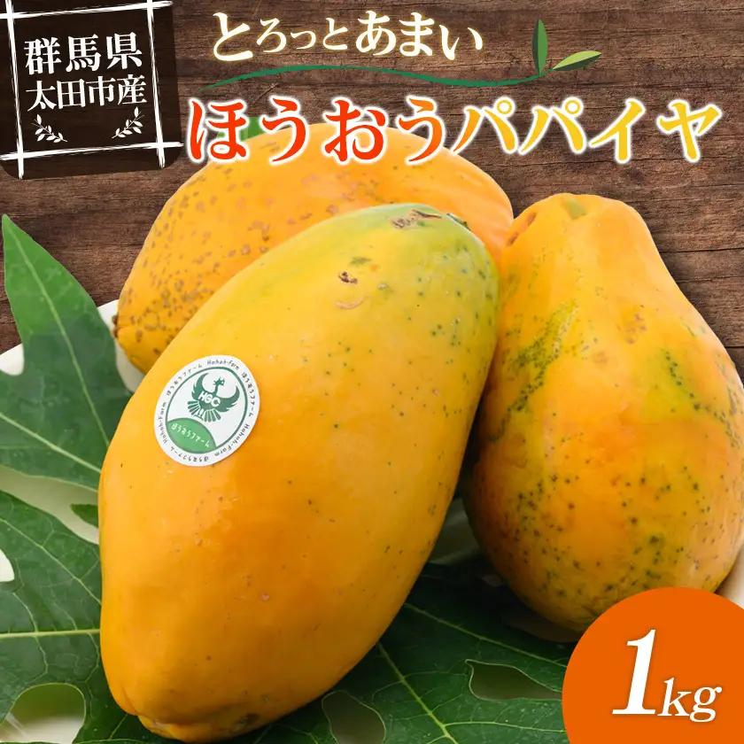 【ほうおうパパイヤ】とろっとあまい!群馬県太田市でうまれた希少な国産フルーツパパイヤ1kg_果物・フルーツ   くだもの_【配送不可地域：離島】【1595253】