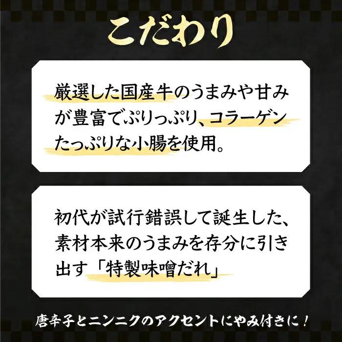 【全国放送】元祖味噌もつ鍋 平壌屋おすすめ 2-3人用 セット 野菜+うどん VAH056 国産牛 もつ