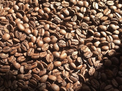 【自家焙煎珈琲豆】 コロンビア パシオン デ・ラ シエラ　200g　【 珈琲 コーヒー コーヒー豆 ドリップ ハンドドリップ アウトドア キャンプ コロンビア シングルオリジン ストリクトリーハードビ