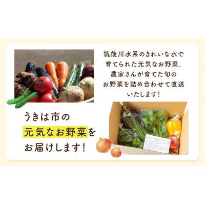 ふるさと納税 うきは市 名水うきは 旬の滋味(じみ)野菜セットS 　U011-1VE-SEUS |  | 01