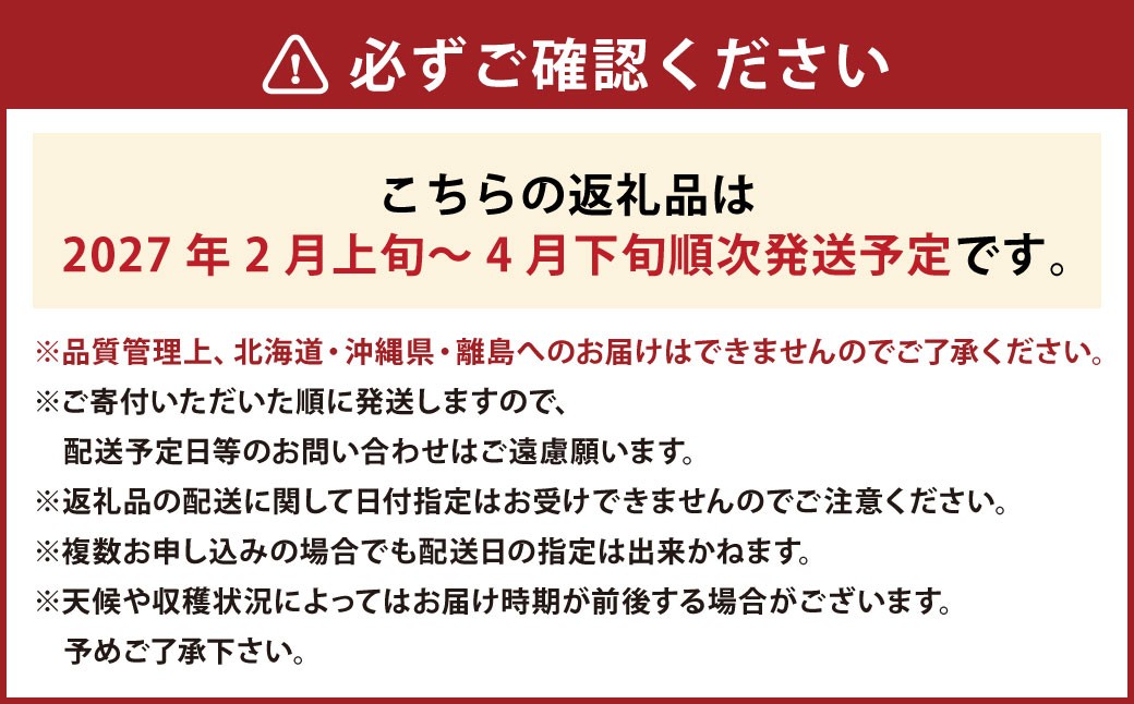あまおうボリュームセット 6パック 計約1500～1620g あまおう いちご イチゴ 苺 果物 くだもの フルーツ【2027年2月上旬～4月下旬発送予定】