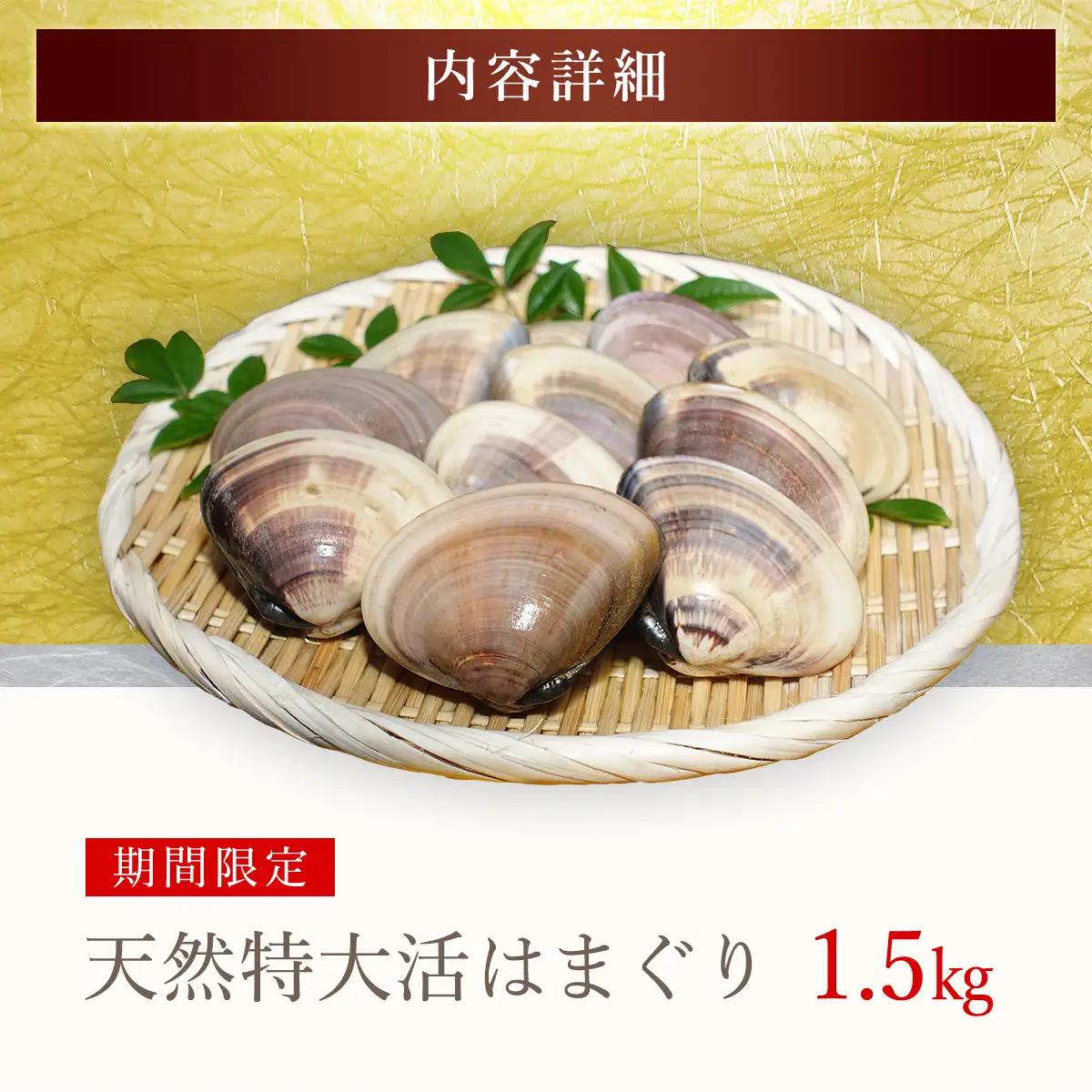 【千葉県ブランド認定】天然特大活はまぐり《1.5㎏》／ふるさと納税 はまぐり ハマグリ 蛤 貝類 魚介 海鮮 お吸い物 パスタ パエリア お歳暮 贈答 お祝い 千葉県 山武市 SMBO003