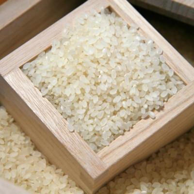 ふるさと納税 加茂市 桐米びつ 5kg　計量枡付き 職人が作る米櫃 |  | 01