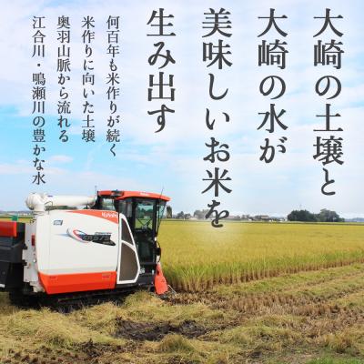 ふるさと納税 大崎市 《精米》宮城県大崎市産 特別栽培米 つや姫10kg【2025年産】 |  | 01