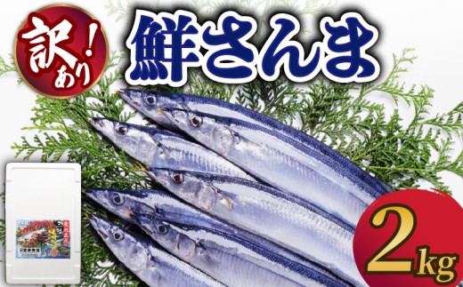 訳あり 鮮さんま 約2kg 冷蔵 訳アリ サンマ さんま 秋刀魚 季節限定 鮮魚 旬の魚 三陸 岩手県 大船渡市