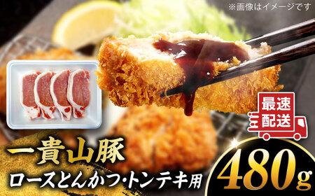 一貴山豚 ロースとんかつ・トンテキ用 計480g(120g×4枚) 糸島市 / いきさん牧場 豚肉 冷凍[AGB030]