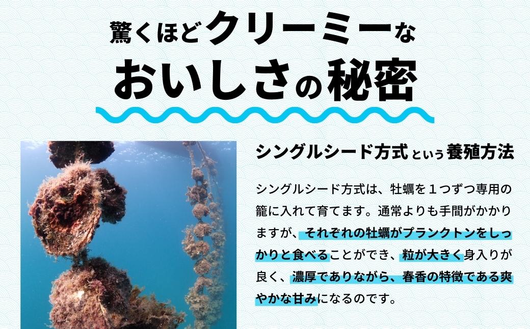 【お手軽グルメ】岩牡蠣カンタン調理セット グラタン ドリア 炊き込みご飯