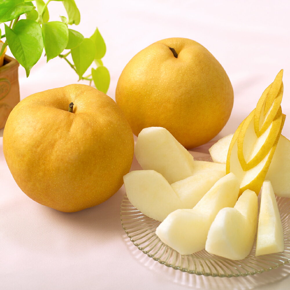 【ふるさと納税】あたご梨 2玉 合計1.8kg以上 梨 なし ナシ 赤梨 愛宕梨 フルーツ 果物 果実 くだもの 岡山県産 国産 岡山県 倉敷市 送料無料 【2026年11月下旬～12月下旬迄順次発送予定】