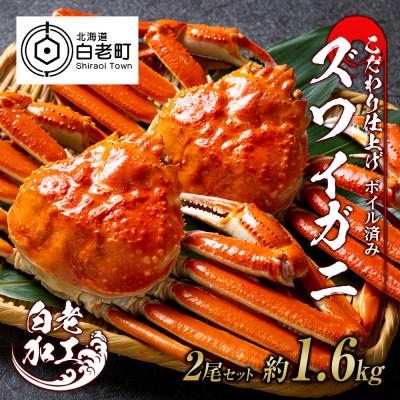 ふるさと納税 白老町 訳あり　ズワイガニ 姿 ボイル済み 冷凍 2尾セット 約1.6kg BM023
