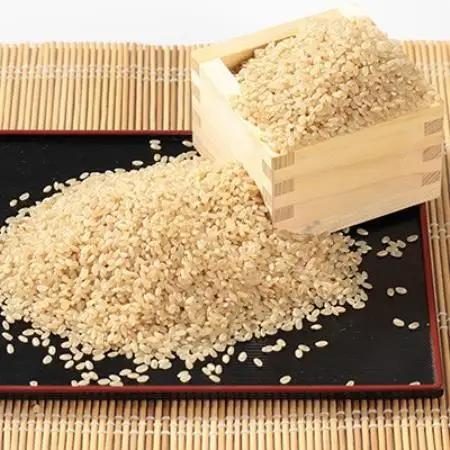 【発送月固定定期便】あきたこまち 玄米 5kg 10月～12月発送全3回【配送不可地域：離島・沖縄県】【4090620】