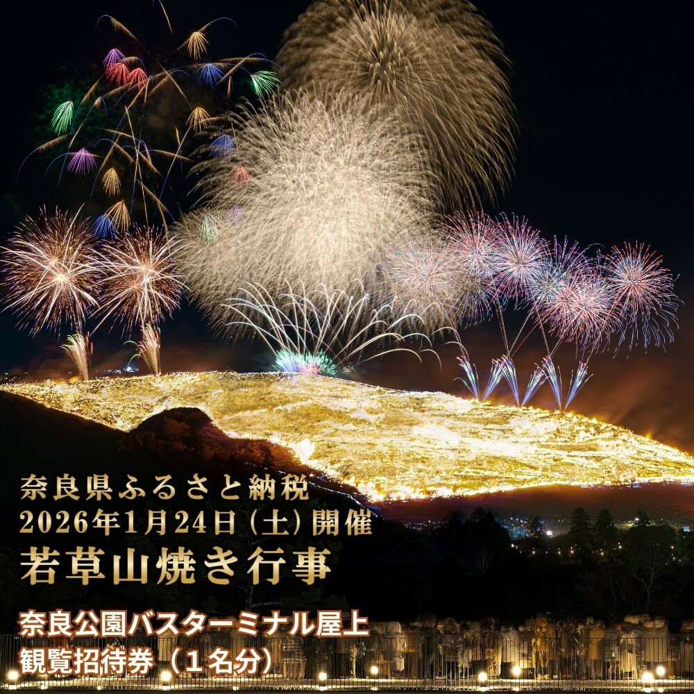【ふるさと納税】若草山焼き行事 奈良公園バスターミナル屋上 観覧招待券（1名分）