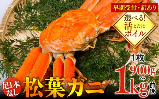 
                  【早期受付】【選べます！活またはボイル】足1本なし 訳あり 松葉ガニ 特大1枚（900g～1kg前後）※着日指定不可※2026年11月上旬頃から順次発送予定 ｜ 蟹 かに 松葉ガニ 松葉蟹 訳あり 家庭用 鳥取県産 北栄町 おすすめ 人気
                