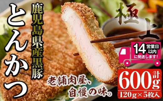 
										
										鹿児島県産 黒豚ロースとんかつセット(120g×5枚・計600g) 国産 黒豚 豚肉【佐多精肉店】A25-v01
									