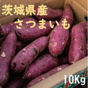 【ふるさと納税】【茨城県産】生さつまいも 紅はるか 10Kg【1437617】