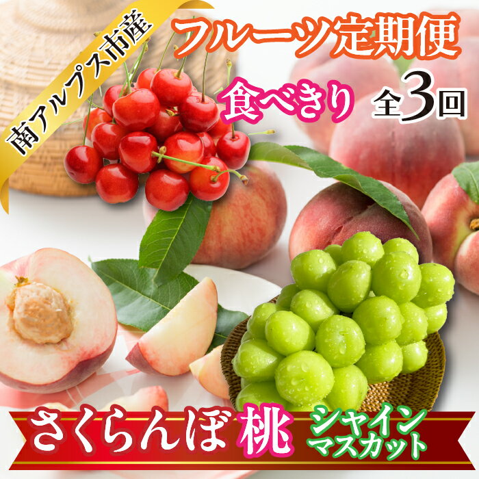 【ふるさと納税】 ★先行予約　2025年度発送　【食べきり】旬のフルーツ3回定期便〈くだもの　フルーツ　さくらんぼ、桃、シャインマスカット　新鮮　農家直送　産地直送　人気　山梨県　南アルプス市　〉 ふるさと納税 おすすめ 山梨県 南アルプス市 送料無料 ALPAJ054