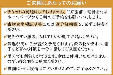 梨狩り体験 1グループ5名様まで 5個 梨の収穫体験 幸水 豊水 新高 甘みがあって大玉の梨が自慢  親子で楽しむ 近場で楽しむ 新鮮 もぎたて 夏の体験 夏休み しろいの梨  梨のもぎ取り