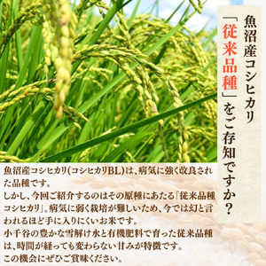 令和7年産 昔ながらの魚沼産コシヒカリ 従来品種 精米 10kg（5kg×2袋）農園ビギン/コシヒカリ コシヒカリ コシヒカリ コシヒカリ