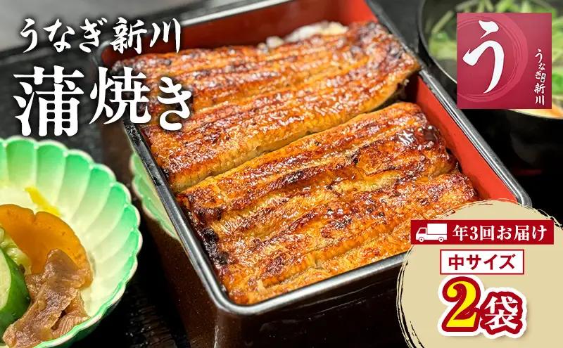 うなぎ 定期便 蒲焼き 中サイズ 2袋入り 鰻 うなぎ