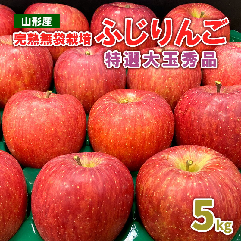 【ふるさと納税】完熟無袋栽培ふじりんご 特選 大玉 秀品 5kg入り【令和8年産先行予約】FS25-762