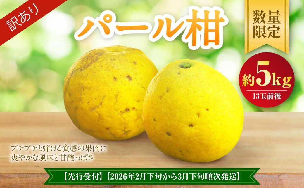 
            【先行受付】【数量限定】【訳あり】パール柑 約5kg 13玉前後 訳あり 訳アリ 柑橘 フルーツ 果物 果実 くだもの 九州産 熊本県 上天草市【2026年2月下旬から3月下旬順次発送】
          