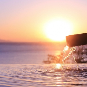 愛犬と泊まる源泉かけ流しの小さな湯宿 湯宿福の湯 特定日限定宿泊券１泊２食付き１室２名様ご利用 1401 ／ 福の湯 静岡県 東伊豆 伊豆 愛犬 ペット