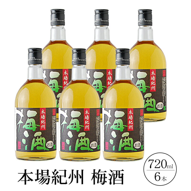 【ふるさと納税】 本場紀州梅酒 6本セット