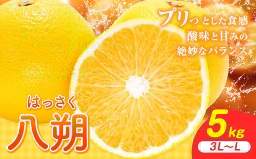 八朔 5kg（3L～L）JAわかやま 紀の里地域本部《1月上旬-4月中旬に出荷予定(土日祝除く)》和歌山県 岩出市 産地直送 みかん 八朔 柑橘 果物 フルーツ ビタミンC たっぷり