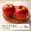 【ふるさと納税】山形県産 りんご サンふじ 秀 5kg (14~20個) nf-risfs5