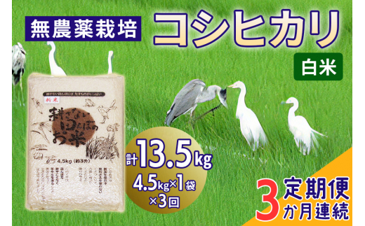 [定期便／3ヶ月] 無農薬栽培 コシヒカリ《白米》計13.5kg (4.5kg×3ヶ月連続)｜おいしい お米 コメ こめ ご飯 ごはん お取り寄せ 直送 贈り物 贈答品 ふるさと納税 埼玉 杉戸 [0668]