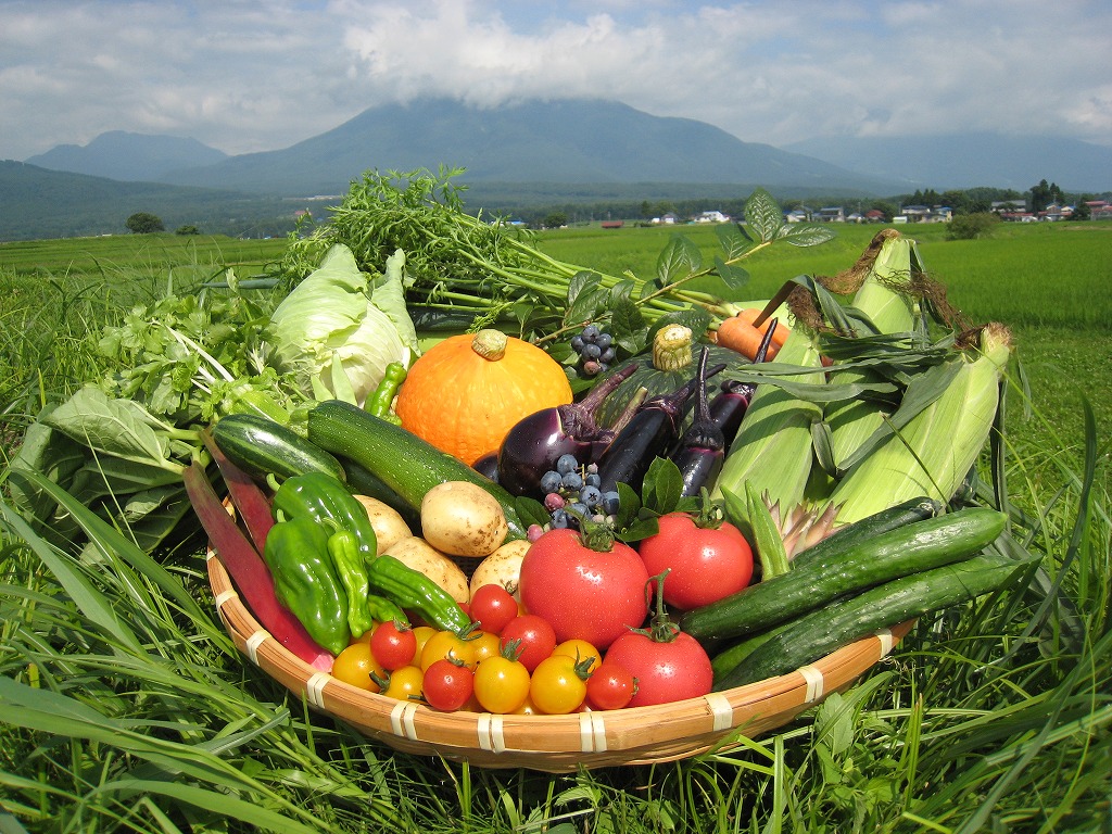 長野県信濃町産「旬の野菜3～5種おまかせセット」☆7月下