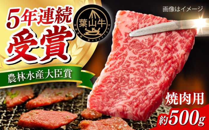 
            葉山牛 焼肉用切り落としセット 約500g　【JAよこすか葉山】 [AKFO011]
          