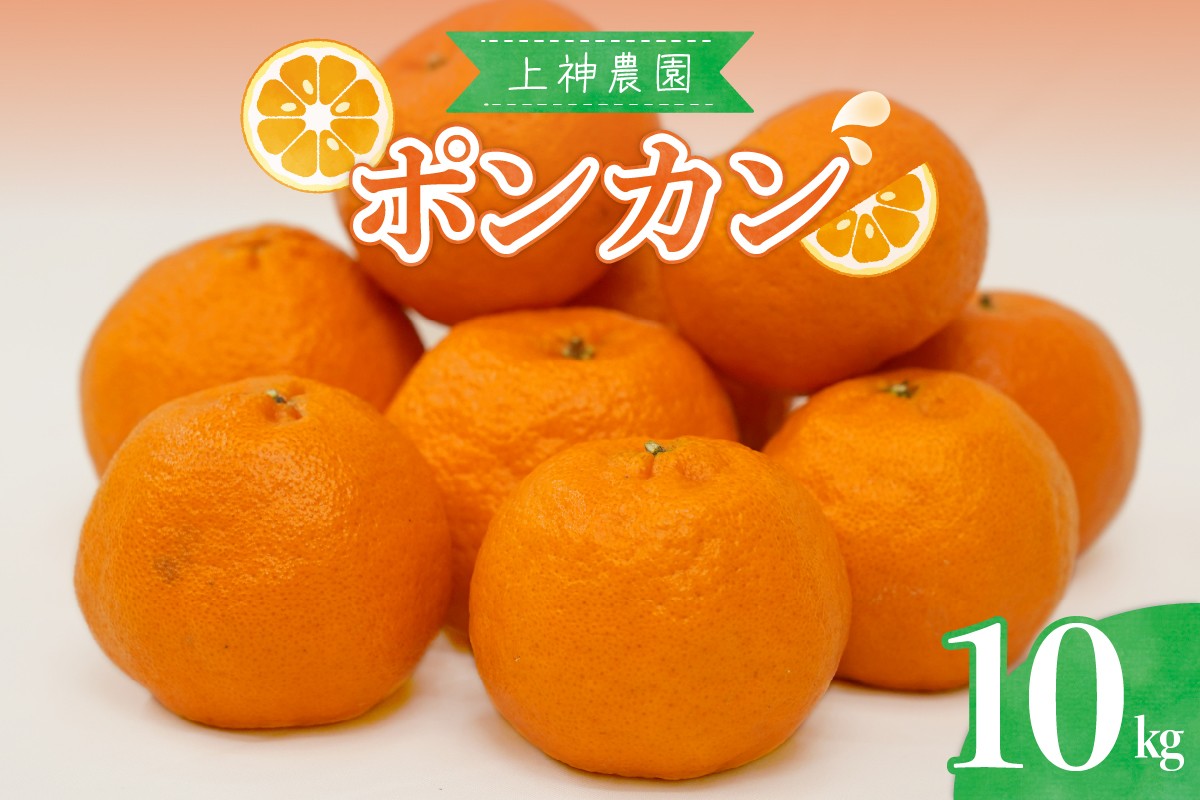 
                  【先行受付】 【2027年1月中旬～発送】 上神農園のポンカン 10kg 柑橘 みかん あまい 上神農園 ポンカン ぽんかん 広島県 呉市約 ku011-008-26
                