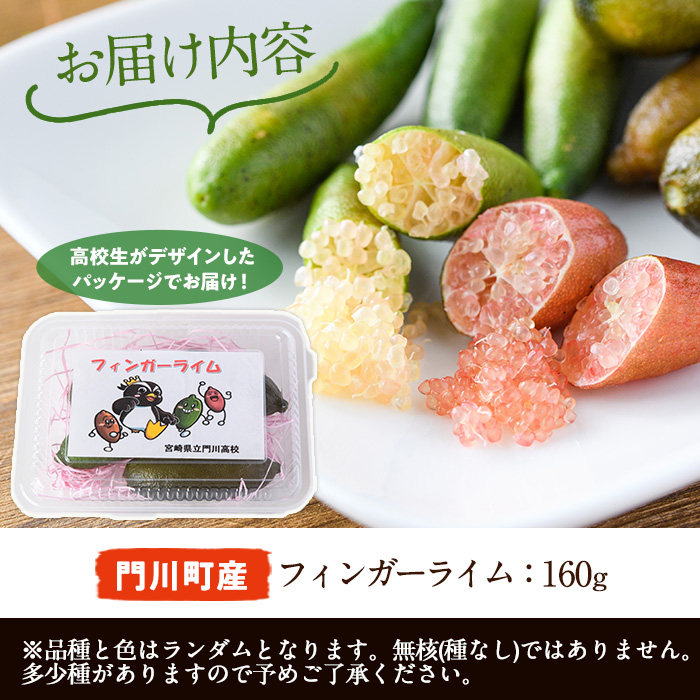 ＜数量限定・期間限定＞宮崎県門川町産フィンガーライム(160g) 柑橘 希少 ライム キャビアライム シトラス ミアローズ ティスティグリーン ピンクパール レッドスパークリング ダークレッド 高校生