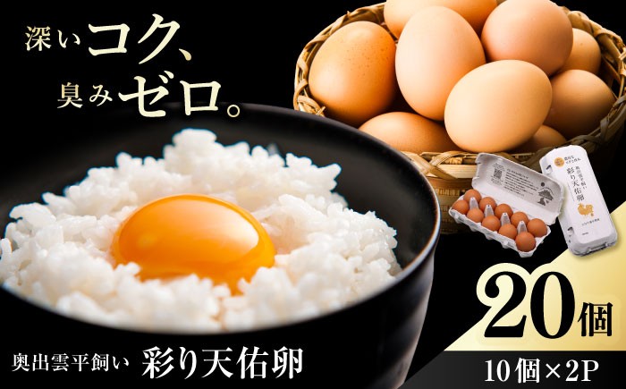 
                  卵 平飼い卵 黄身の濃厚なコクと白身の甘み！たたらの里平飼い 彩り天佑卵 20個入り（10個×2P）卵 たまご 放牧卵 平飼い卵 国産卵 タマゴ 玉子 鶏卵 鶏 卵黄 卵20個 卵2パック 卵20個 新鮮卵 卵料理 卵かけごはん オムレツ 卵焼き 玉子焼き パック卵 便利 ストック卵 人気卵 おすすめ卵 1万円卵 島根県雲南市/株式会社たなべたたらの里（たなべ森の鶏舎）[AIDL011]
                