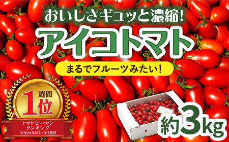 【2026年1月～発送】完熟アイコトマト 約3kg / トマト  [SCB052] 