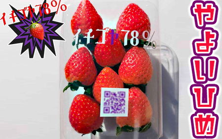 早く見つけて～！！甘い！美味しい！と巷で噂の苺をいっぱい食べてる人程食べてほしい&hearts; やよいひめ260g×4パック ※北海道・沖縄・離島への配送不可 ※2025年12月下旬頃より順次発送予定 _FE02