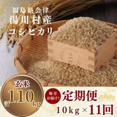 【発送月固定定期便】湯川村産コシヒカリ玄米10kg(R8.10月-12月・R9.1月-8月)全11回【4091736】
