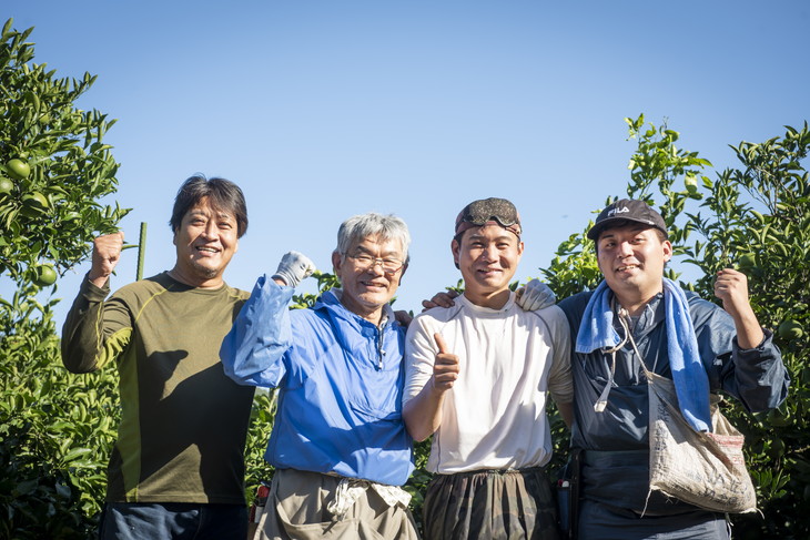 【先行予約】【数量限定】【家庭用】浅野農園の甘平（かんぺい）5kg｜柑橘 みかん ミカン フルーツ 果物 愛媛 有名 代表 高級 ※2025年2月中旬頃より順次発送予定 ※離島への配送不可