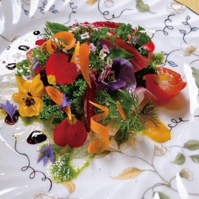 ふるさと納税 指宿市 季節のエディブルフラワー(約100輪)(010-1526) |  | 01