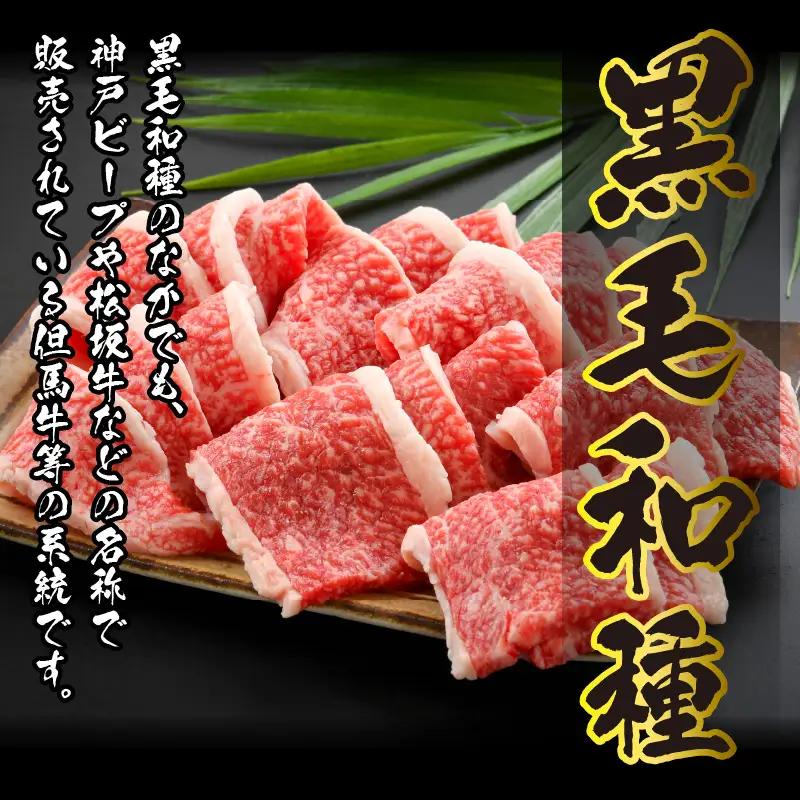 若狭牛 焼肉 300g 若狭牛
