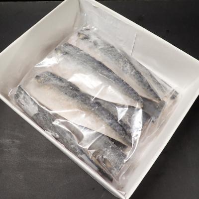 ふるさと納税 根室市 ＜12/10まで年内配送＞塩さばフィーレ11枚入×1P(計約1.5kg) G-11021 |  | 02