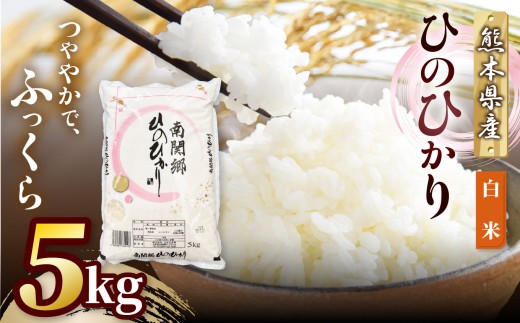 和水町産 ひのひかり 白米 5kg | 熊本県 和水町 くまもと なごみまち なごみ ひのひかり ヒノヒカリ 白米 米 単一原料米 お米 5kg