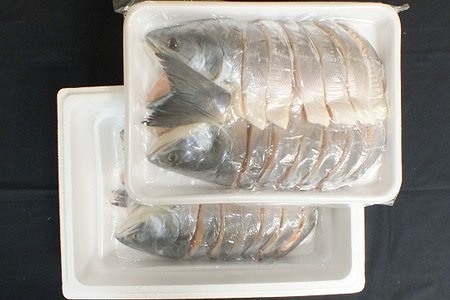 【北海道根室産】時しらず鮭切身1.5kg×2P D-42074