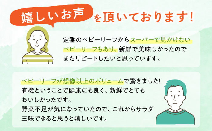 ベビーリーフ お米 2kg セット 有機野菜 産地直送 高原野菜 山都町産 有機JAS認証取得 国産 野菜 サラダ 小分け