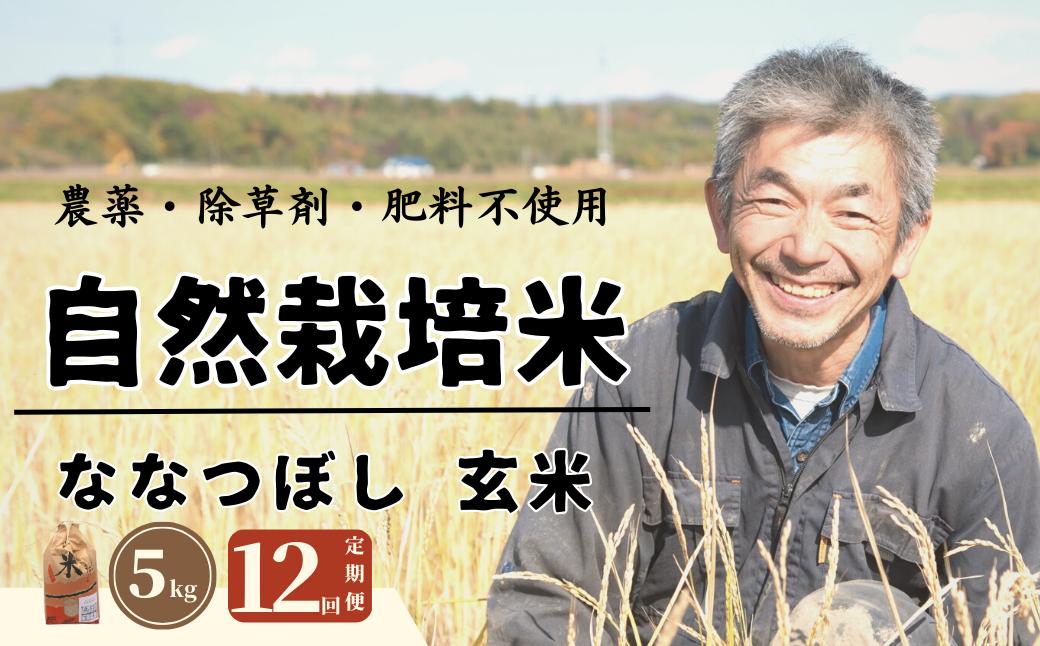 
＜令和6年産新米＞1年間毎月届く！自然栽培米「角田玄米」 5kg定期便
