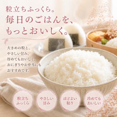 ふるさと納税 江北町 【2ヵ月毎定期便】『夢しずく』白米5kg(江北町)全2回 |  | 01