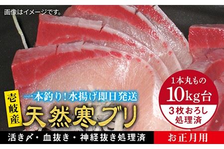 【11/1?1/15お届け 年末年始用】天然 寒ブリ（10キロ台・3枚おろし） 《壱岐市》【壱岐島　玄海屋】[JBS037] ぶり 寒ぶり ブリ 魚 刺身 しゃぶしゃぶ 310000 310000円 31万円 のし プレゼント ギフト 冷蔵配送 九州
