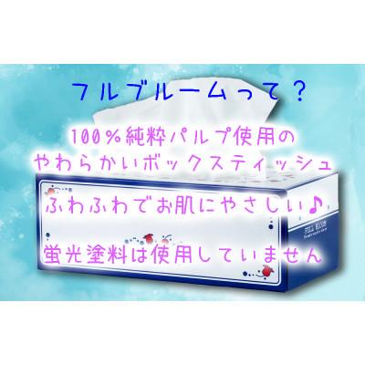 ふるさと納税 沼津市 ティッシュペーパー ボックス 12箱・パルプロールトイレットペーパー 16ロールセット 柔らかめ |  | 01